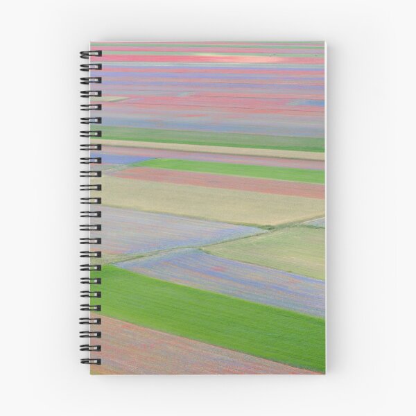 Item preview, The colored fields of Castelluccio designed and sold by pietrofoto.