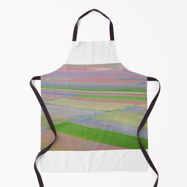 Item preview, The colored fields of Castelluccio designed and sold by pietrofoto.