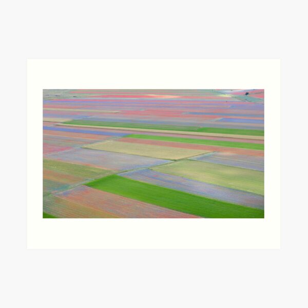 The colored fields of Castelluccio Art Print