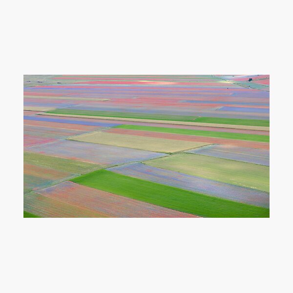 The colored fields of Castelluccio Photographic Print