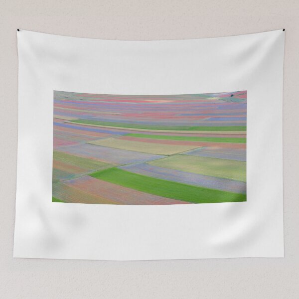 Item preview, The colored fields of Castelluccio designed and sold by pietrofoto.