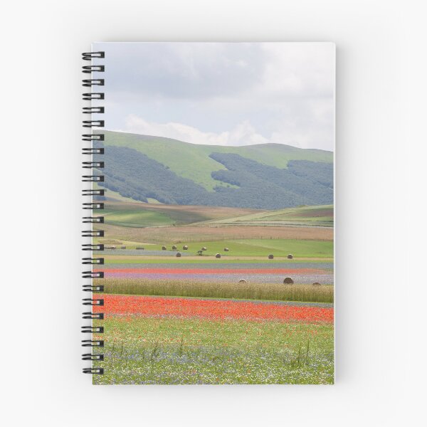 Item preview, The valley of Castelluccio designed and sold by pietrofoto.
