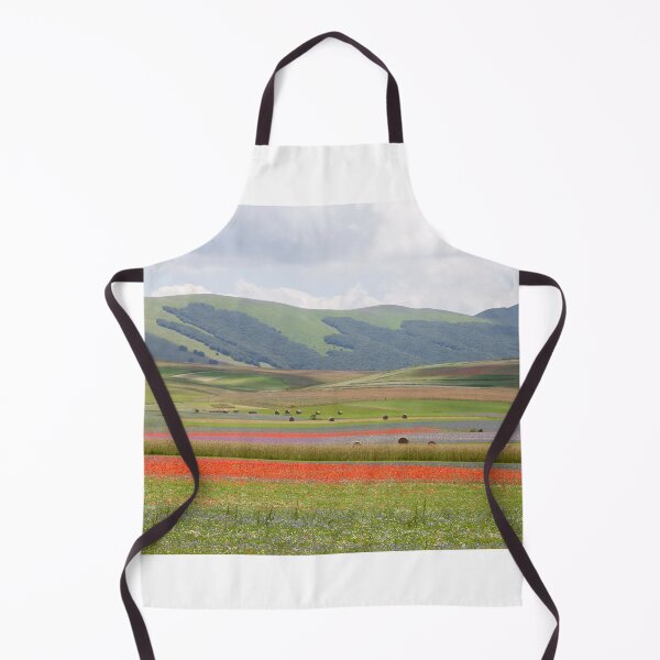 Item preview, The valley of Castelluccio designed and sold by pietrofoto.