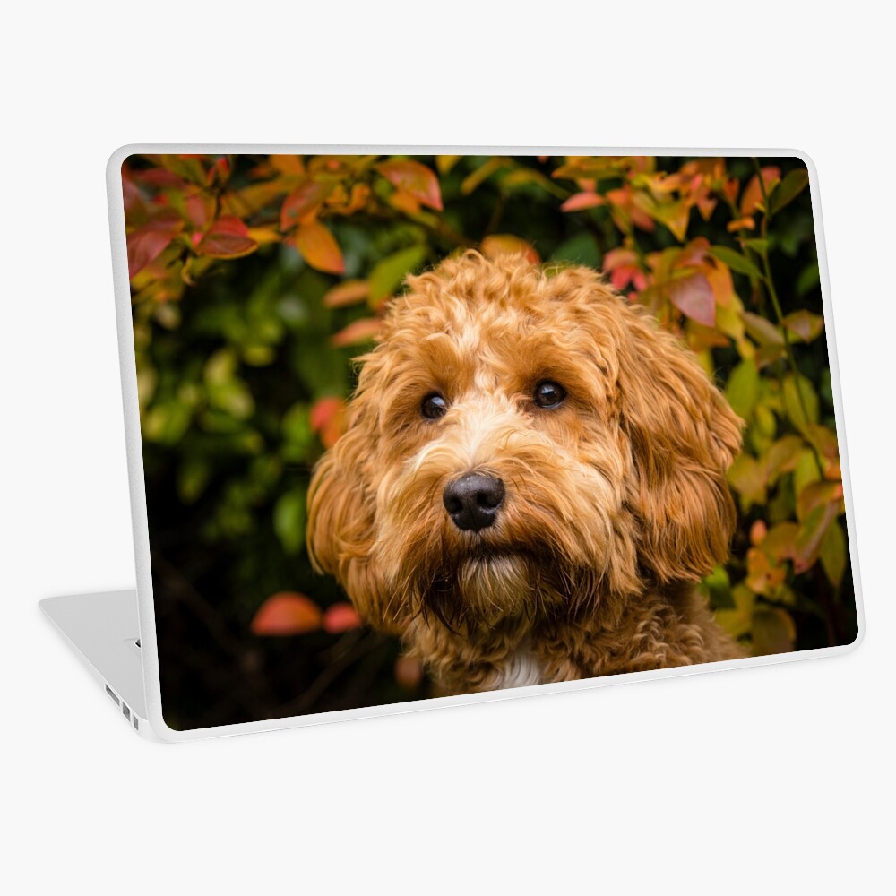 Item preview, Laptop Skin designed and sold by AYatesPhoto.