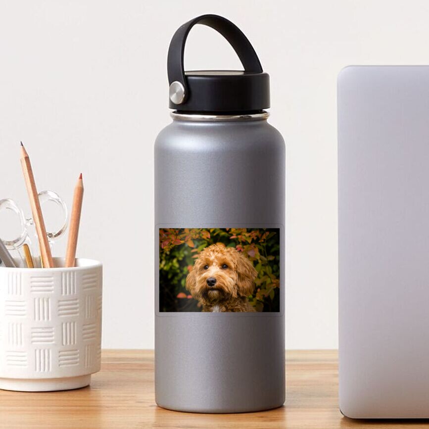 Item preview, Transparent Sticker designed and sold by AYatesPhoto.