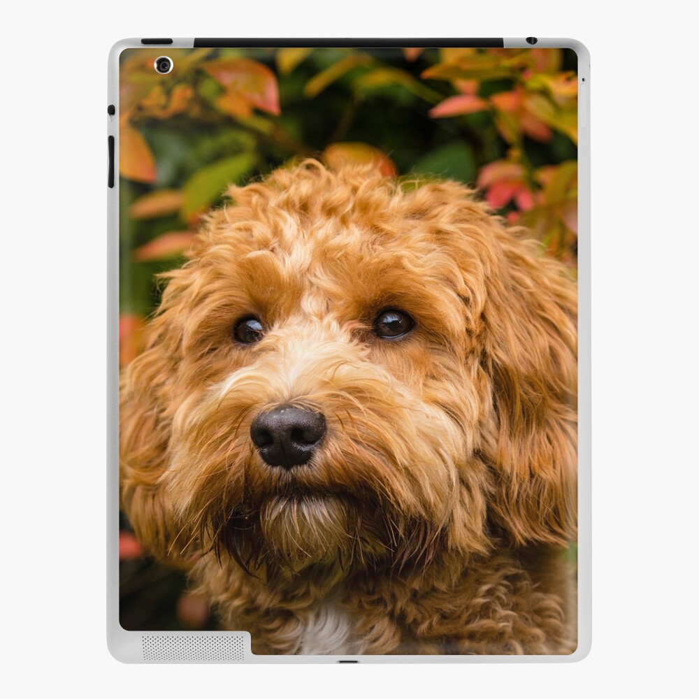 Item preview, iPad Skin designed and sold by AYatesPhoto.