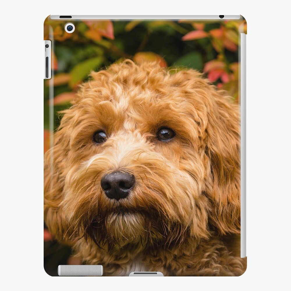 Item preview, iPad Snap Case designed and sold by AYatesPhoto.