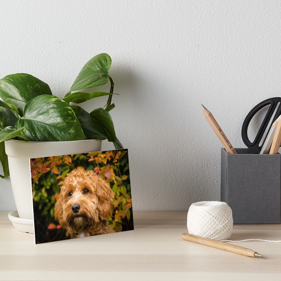 Item preview, Art Board Print designed and sold by AYatesPhoto.
