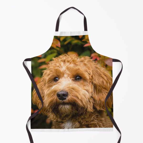 Item preview, Cavapoo in the fall designed and sold by AYatesPhoto.