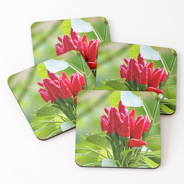 Item preview, Red Chilli Peppers Fruit Plant designed and sold by worldways.