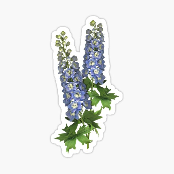 Delphinium Sticker