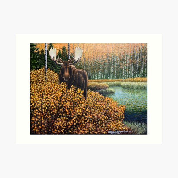 Moose in the Willows Art Print