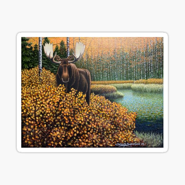 Moose in the Willows Sticker