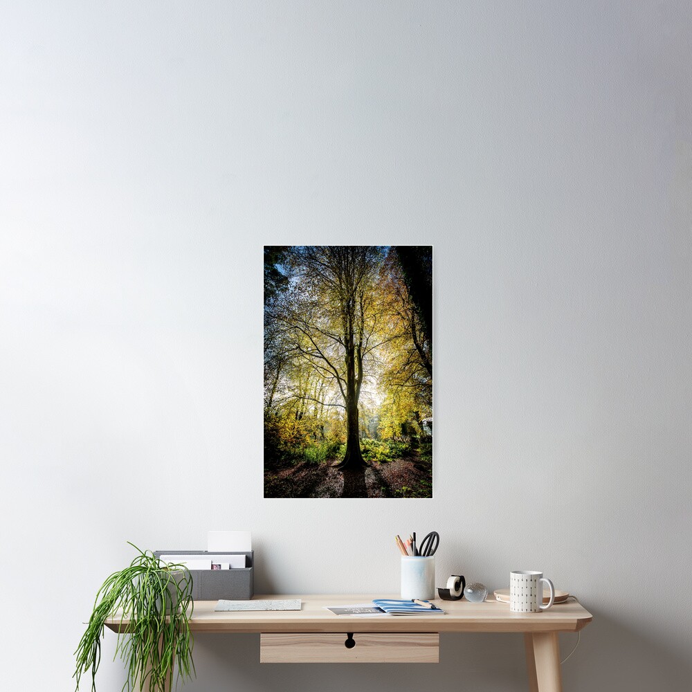 Item preview, Poster designed and sold by davecurrie.