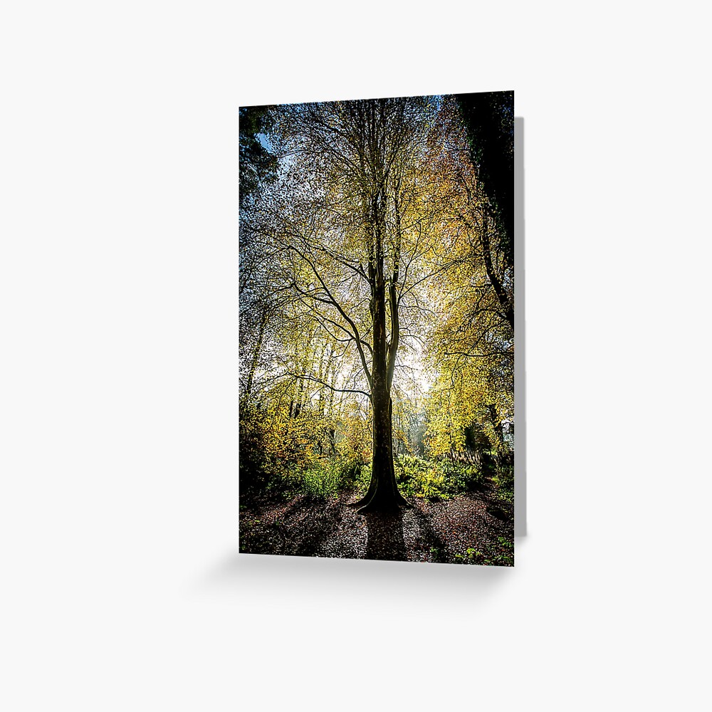 Item preview, Greeting Card designed and sold by davecurrie.