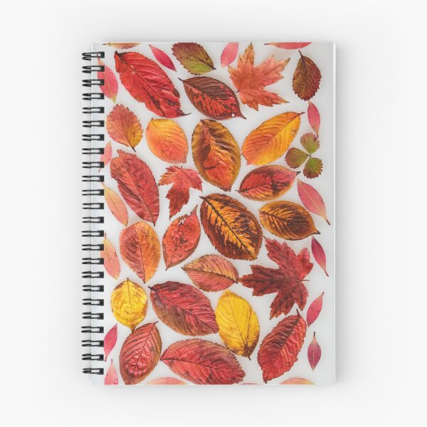Item preview, Autumn Leaves. designed and sold by John Ray.