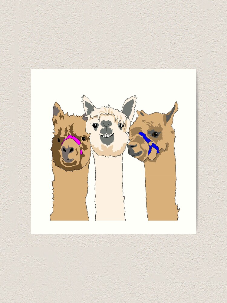 Alternate view of Three Alpacas Art Print