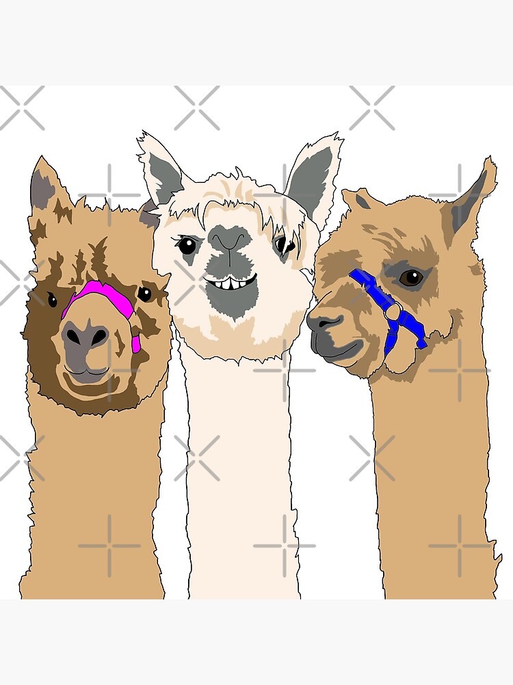 Three Alpacas by emilydevineart