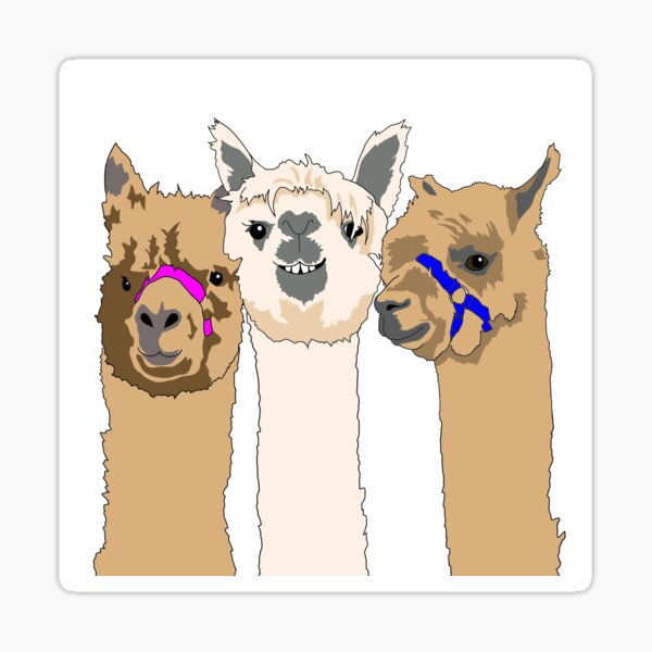 Item preview, Three Alpacas designed and sold by emilydevineart.