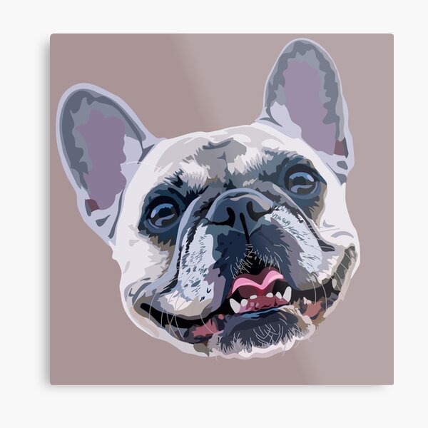 Smiling French Bulldog Metal Print