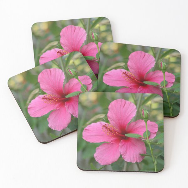 Item preview, Summer Hibiscus  designed and sold by K D Graves Photography.