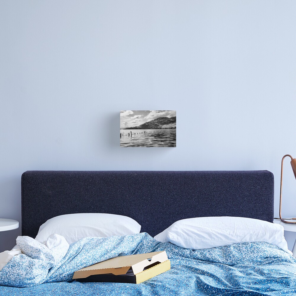 Item preview, Canvas Print designed and sold by davecurrie.