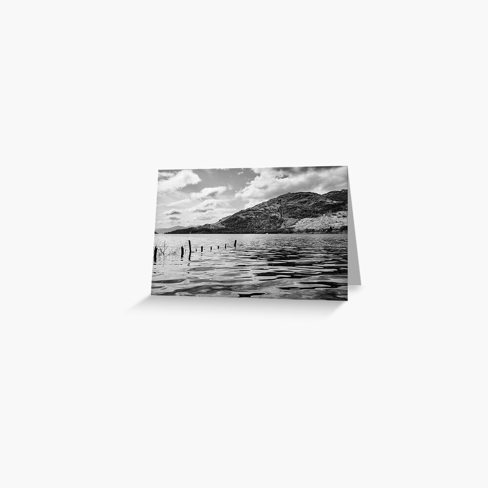 Item preview, Greeting Card designed and sold by davecurrie.