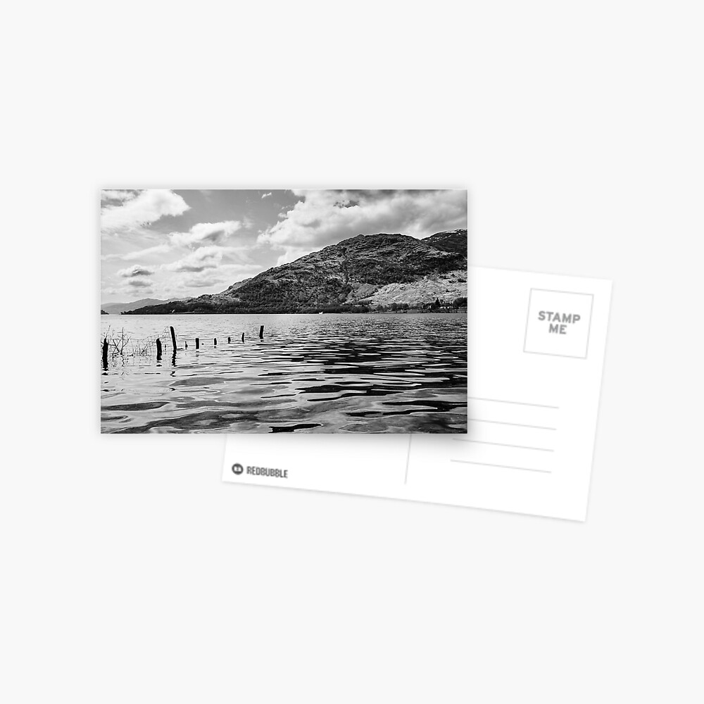 Item preview, Postcard designed and sold by davecurrie.