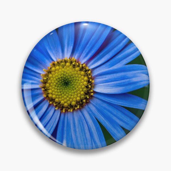 Item preview, blue flower close up designed and sold by 5R Photography.