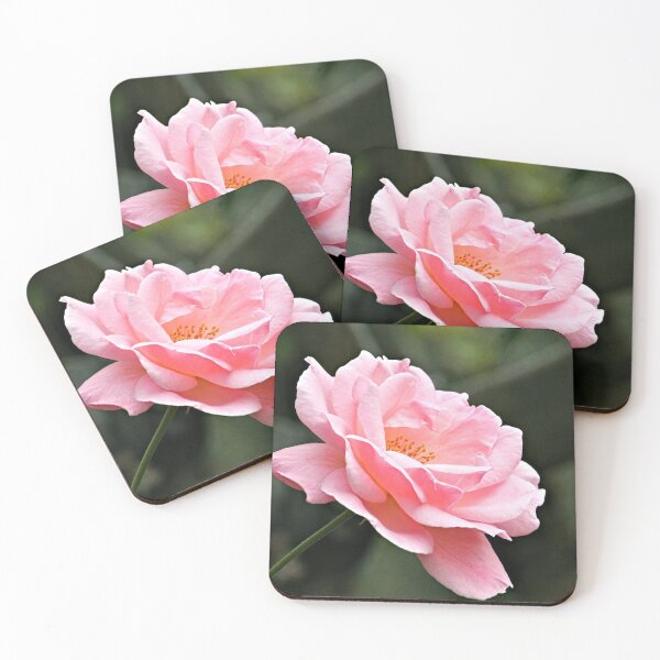 Item preview, Romantic Pink Rose Flower Blooming designed and sold by worldways.