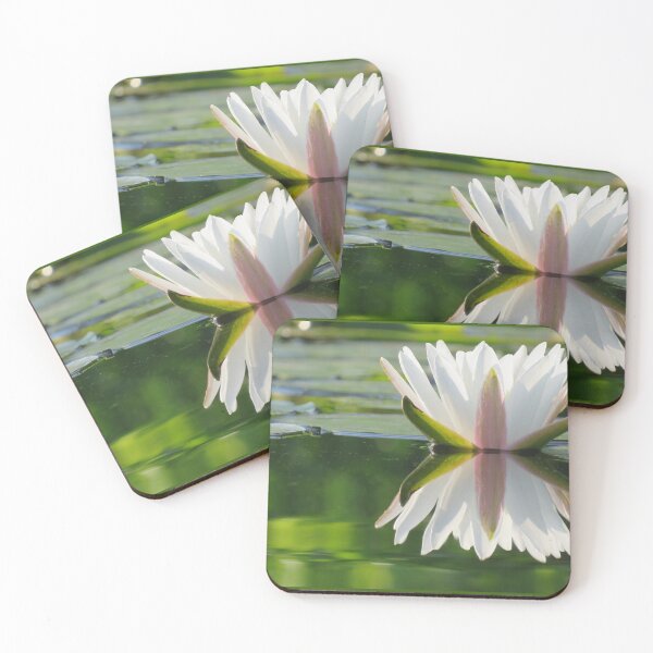 Item preview, Seeing Double designed and sold by JoanneKenney.