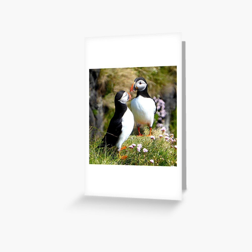 Item preview, Greeting Card designed and sold by davecurrie.