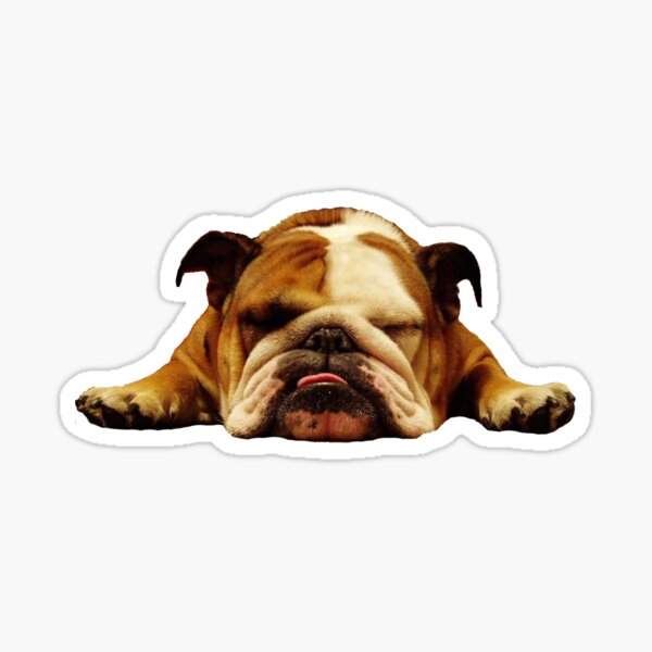 English bulldog car sticker hotsell