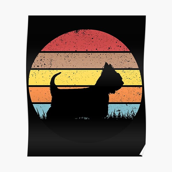 Australian Silky Terrier Poster