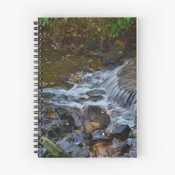 Item preview, The Babbling Brook designed and sold by Lanis Rossi.