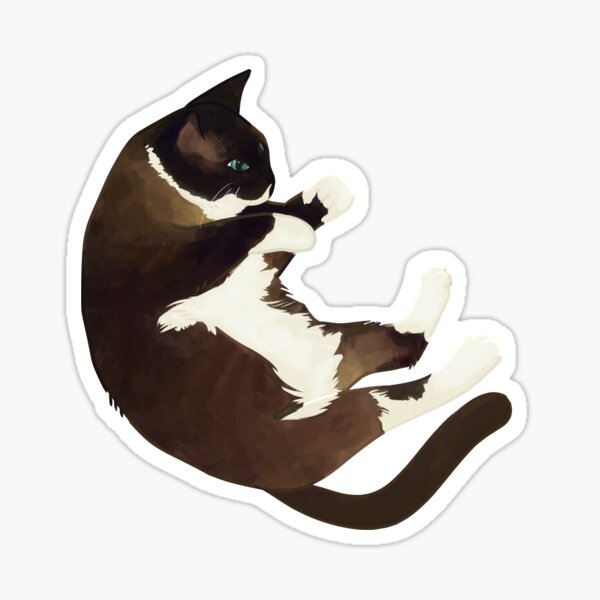 Snowshoe Cat Stickers Redbubble