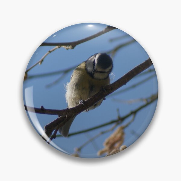 Item preview, Blue Tit, That Look designed and sold by DemBirdies.