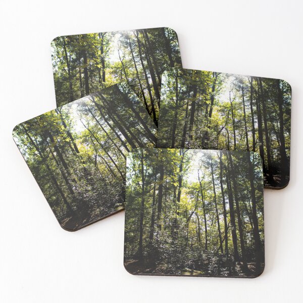 Item preview, Sunlight in the Woods designed and sold by KaitLouise.