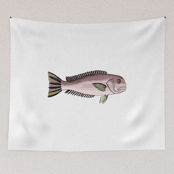 Item preview, Caulolatilus princeps designed and sold by Stanton.