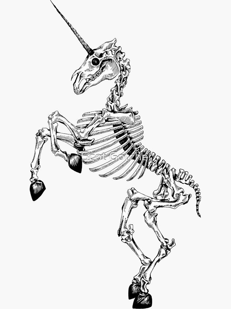 Скелет единорога. Скелет лошади. Скелет Пегаса. Скелет стилизация.