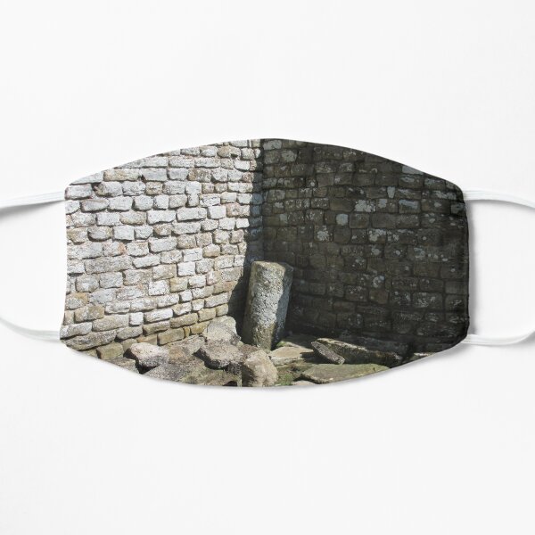 Merch #104 -- Two-Tone Walls (Hadrian's Wall) Mask