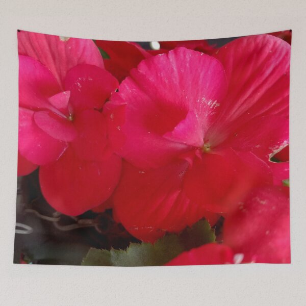 Item preview, Red Geranium Cascade designed and sold by MooseDogPhotos.