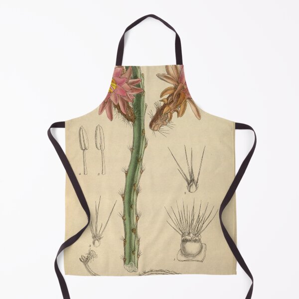 Item preview, Cereus tunilla 144 8779 designed and sold by EsotericBotanic.