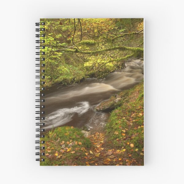 Artikelvorschau, Reelig Glen entworfen und verkauft von Macrae images.