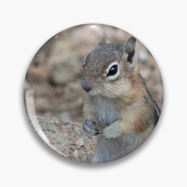 Item preview, Chipmunk Friend designed and sold by AceLlama.