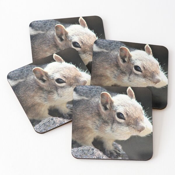Item preview, Chubby Chipmunk Cheeks designed and sold by AceLlama.