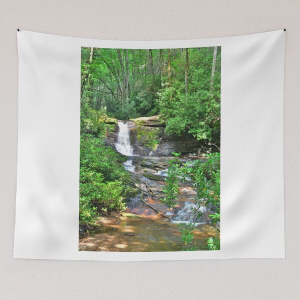 Item preview, Dodd Creek At Ravens Cliff Falls Georgia 2 designed and sold by LisaWootenPhoto.