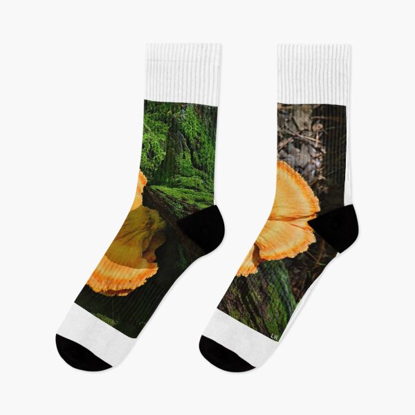 Item preview, Fungi In The Forest designed and sold by LisaWootenPhoto.