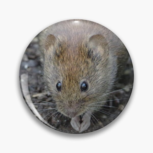 Item preview, Such an adorable little mouse! designed and sold by rosiebeeston.