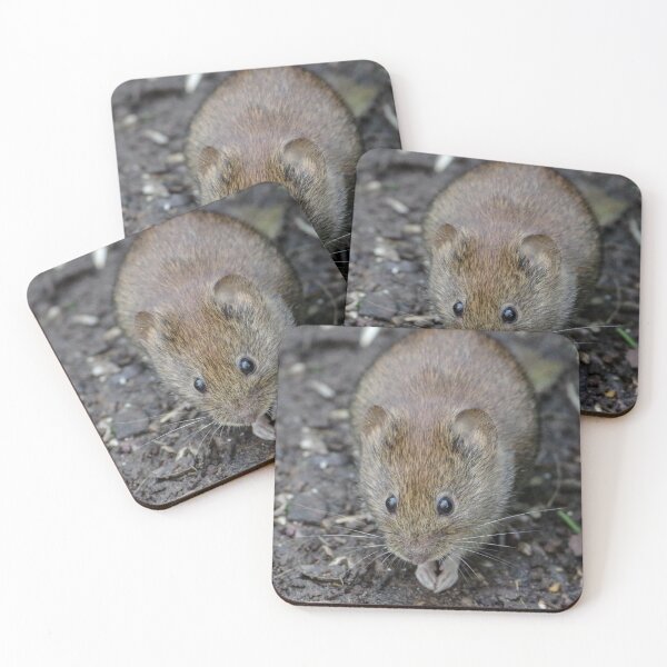 Item preview, Such an adorable little mouse! designed and sold by rosiebeeston.